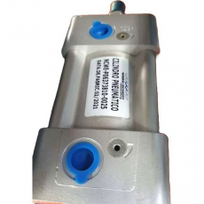 Cilindro pneumático WERK SCHOTT NCWE-P06373810-0025 63X25 Cilindro pneumático WERK SCHOTT NCWE-P06373810-0025 63X25