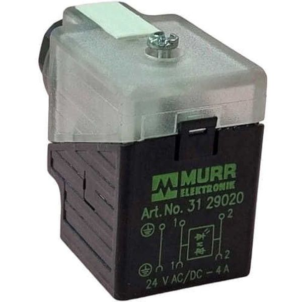 MURR <br/>24V AC/DC 4A