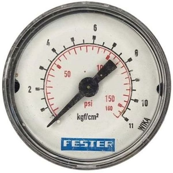 FESTER <br/> seminovo