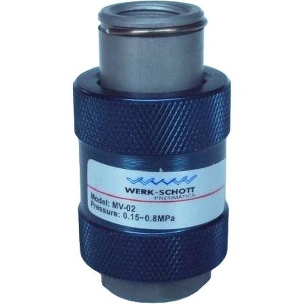 WERK SCHOTT <br />
DZ114CMV02 1/4 fem fem 
