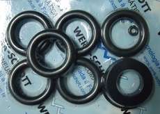 Kit de reparo WERK SCHOTT 8500-500 Kit de reparo WERK SCHOTT 8500-500