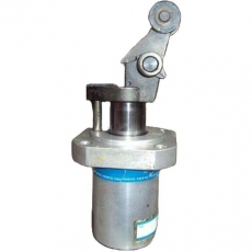 Cilindro pneumático FESTO DHEN Cilindro pneumático FESTO DHEN