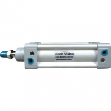 Cilindro pneumático WERK SCHOTT CWUP050734100100 50X100 Cilindro pneumático WERK SCHOTT CWUP050734100100 50X100