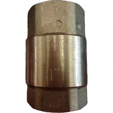 Válvula de retenção 1 polegada Válvula de retenção 1 polegada