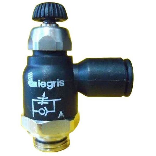 LEGRIS